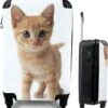 MuchoWow® Koffer - Kat - Rood - Kitten - Meisjes - Kinderen - Jongens - Kindje - Past Binnen 55x40x20 Cm En 55x35x25 Cm - Handbagage - Trolley - Fotokoffer - Cabin Size - Print -Reis Opberg Artikelen 1145x1200 1