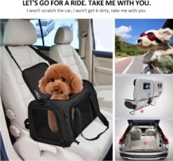 Merkloos - Reistas - Carrier - Transporttas - Huisdiertas Schoudertas - Huisdier Kat Vervoer - Kattentas Hondendraagtas Transport Meenemen Vakantie - Hondendrager - Kat - Hond - Grijs -Reis Opberg Artikelen 1200x1115 3