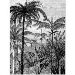 NoBoringSuitcases.com® Koffer - Jungle - Palmboom - Vintage - Zwart Wit - Past Binnen 55x40x20 Cm En 55x35x25 Cm - Handbagage - Trolley - Fotokoffer - Cabin Size - Print 21 NoBoringSuitcases.com® Koffer - Jungle - Palmboom - Vintage - Zwart Wit - Past Binnen 55x40x20 Cm En 55x35x25 Cm - Handbagage - Trolley - Fotokoffer - Cabin Size - Print -Reis Opberg Artikelen 1200x1200 108