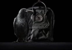 Fjallraven Fjällräven Kånken No. 2 Black Mini Unisex Rugzak - Black -Reis Opberg Artikelen 1200x842 6