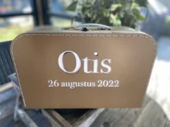 Merkloos Koffertje Karton Bruin Maat L Met Eigen Opdruk - Met Naam -Reis Opberg Artikelen 1200x899 4