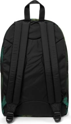 Eastpak BACK TO WORK Rugzak, 26 Liter, 15 Inch Laptopvak - Brize Palm Core -Reis Opberg Artikelen 691x1200 6